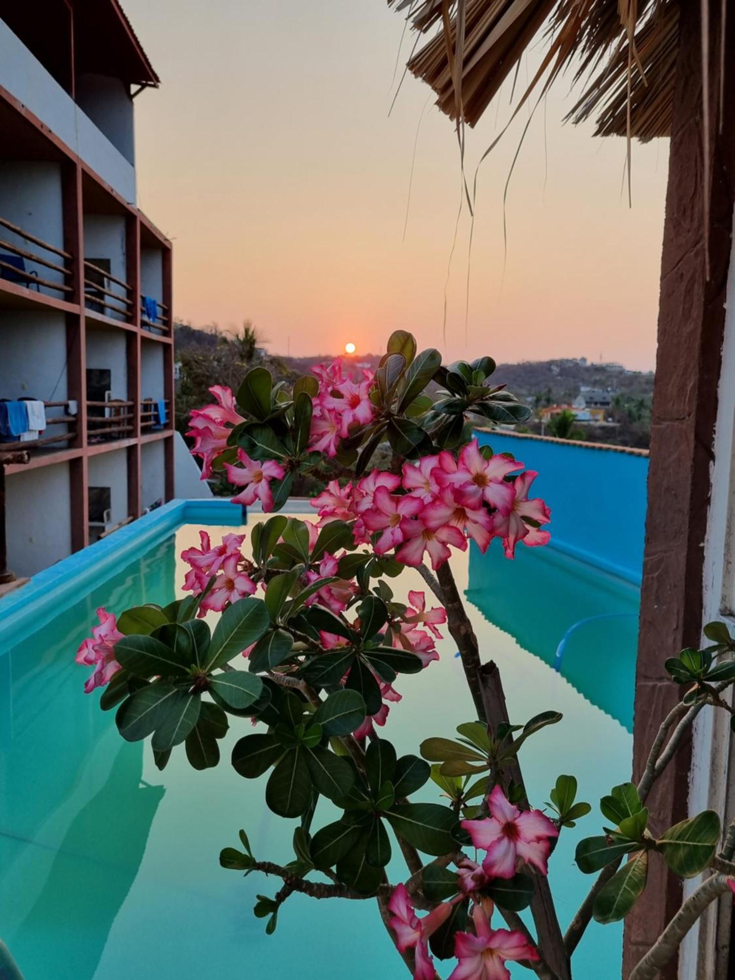 Namaste Zipolite Suites Exteriér fotografie